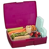 Bentology Leak-proof Bento Lunch Box with 5 Removable Containers, Translucent Raspberry
