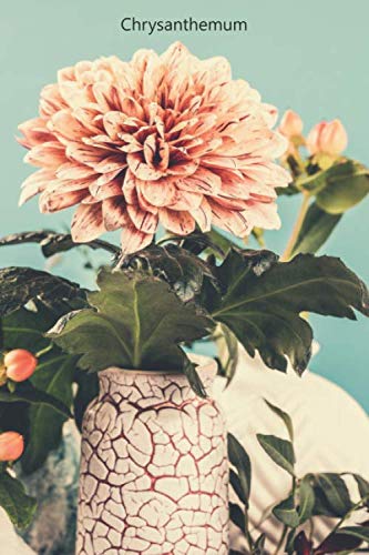 Chrysanthemum: Cool Chrysanthemum notebook - Travel Journal to write in - 120 pages - 6"x9"