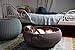 Keter by Curver Knit Cozy Resin Plastic Pet Bed, Cat Bed & Dog Bed with Cushion, Small Dogs to Medium Cats, Sandy Beige