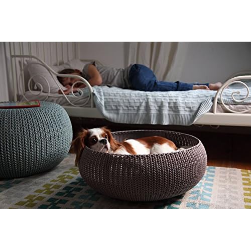 keter dog bed