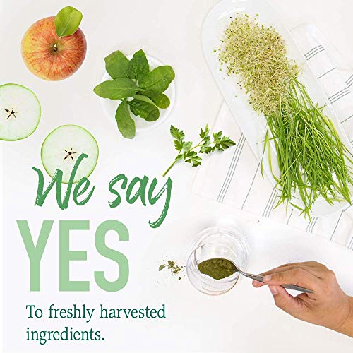 Garden-of-Life-Raw-Organic-Perfect-Food-Green-Superfood-Juiced-Greens-Powder-Original-Stevia-Free-30-Servings-Non-GMO-Gluten-Free-Whole-Food-Dietary-Supplement-Alkalize-Detoxify-Energize