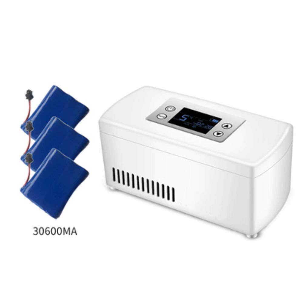 Insulinkühler A A® Mini Refrigerador PortáTil De Insulina Caja ...