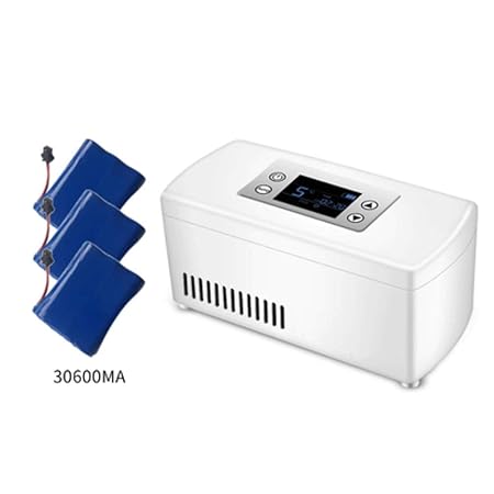 Insulinkühler A A® Mini Refrigerador PortáTil De Insulina Caja ...
