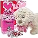 Valentines Day Gift Basket | 12 Inches Stuffed Plush Dog Puppy with Love Squishy Bone Pillow(COLOR MAY VARY) | Hersheys Kisses Milk Chocolate Box | V-Day Gift Bag & Card Tag | Her Wife Girlfriendthumb 2