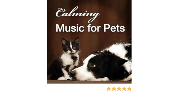 harp music for dogs