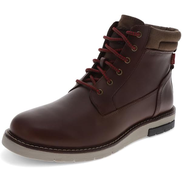 Amazon.com | Levi display picture 3