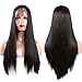 Helene Glueless Lace Front Wigs Straight Realistic Looking Synthetic Heat Resistant Fiber Wig for Women with Baby Hair Black Color