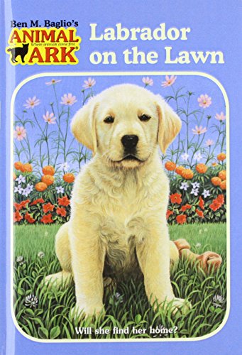 Labrador on the Lawn (Animal Ark (Pb))