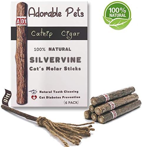 Adorable Pets Catnip Stick | Natural Matatabi Cat Silvervine Sticks - Dental Cleaning Molar Chew Toy for Cat Kitten Kitty (Silver Vine Magic Broom Inside)