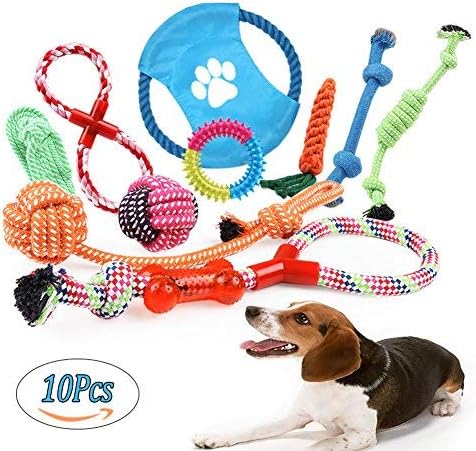 cuerdas para morder perros