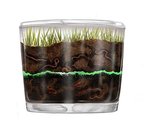 Kids Worm Farm Observation Kit With Mail-In Certificate for Live Worms by Nature Gift Store