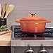 Zelancio 3 Quart Cast Iron Enamel Covered Dutch Oven Cooking Dish with Lid (Tangerine Orange)
