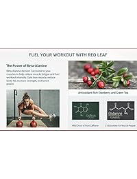 Red Leaf Pre-Workout Energizer beta alanina BCAA. Sabor natural a arándano 30 porciones