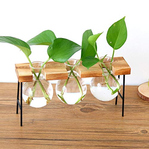 B Blesiya Wooden Shelf Plant Stand Ladder Storage Indoor Outdoor Garden Display Flower Pot Planter Supports Holder Rack 6cm - 3 Vase