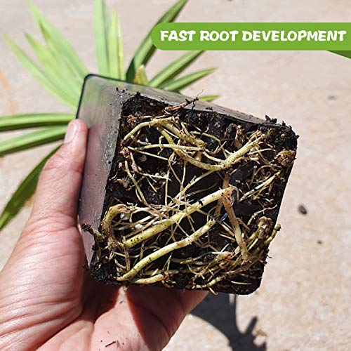 Organic Soil, Seeds Starting Soil Mix for General Seeds Generation for