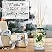 LOVSPA Sparkling Balsam Reed Diffuser Oil Set - Christmas Tree Scent with Pine, Fir Needles, Birch Wood and Amber - Natural Essential Oils and Real Botanicals - Beautiful Holiday Decor - 4.5 Ounces
