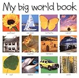 My Big World Book