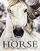 The Horse: Passion, Beauty, Splendor, Strength
