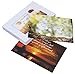 20 Postcards - Christian Scripture Inspirational Bible Verses - Floral Glossy Photographic Designs - 4 x 6 Inches