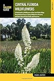 Central Florida Wildflowers: A Field Guide to Wildflowers of the Lake Wales Ridge, Ocala National Forest, Disney Wilderness Preserve, and More than 60 ... (Wildflowers in the National Parks Series) by Roger L. Hammer