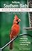 Southern Birds: Backyard Guide - Watching - Feeding - Landscaping - Nurturing - North Carolina, South Carolina, Georgia, Florida, Mississippi, ... Texas (Bird Watcher's Digest Backyard Guide) primary