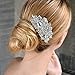 EVER FAITH 4 Inch Bridal Silver-Tone Flower Leaf Teardrop Austrian Crystal Clear Hair Comb