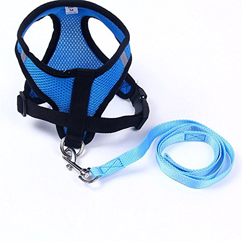 Simayixx Vest Mesh Harness and Leash for small dogs&cats, Adjustable and comfortable (S, Blue)