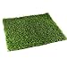 Fasmov Artificial Grass Doormat Multi Purpose Arificial Grass Door Mat, 18