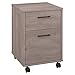 Bush Furniture Key West 2 Drawer Mobile File Cabinet, Rolling File Cabinet for Home Office