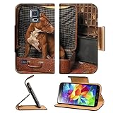 Samsung Galaxy S5 Dog in suitcase IMAGE 19111361 by MSD Customized Premium Deluxe Pu Leather generation Accessories HD Wifi 16gb 32gb Luxury Protector Case