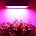 HIGROW 2000W Double Chips LED Grow Light Full Spectrum Grow Lamp with Rope Hanger and Daisy Chain for Greenhouse Hydroponic Indoor Plants Veg and Flower (10W LEDs)
