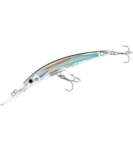 リール mizu Amazon.com : Yo-Zuri F1145 RMT Crystal 3D Minnow (F) 90Mm 3