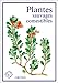Plantes sauvages comestibles by 