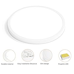 TALOYA Dimmable Flush Mount Ceiling