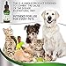Natural ANTIBIOTICS for Dogs / ANTIBIOTICS Alternative for Pets/ Kennel Cough Medicine for Dogs / UTI Treatment / ANTIBIOTICS for Cats