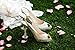 Heels Above High Heel Protector 2 Pairs- Includes 2 Sizes - Clear