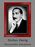 Brennendes Geheimnis (German Edition) by 