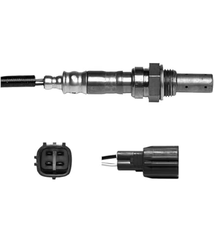 しーぽん Heritage Spring Drive SBGA413G 'Shunbun' Cherry Blossom 2022 Box