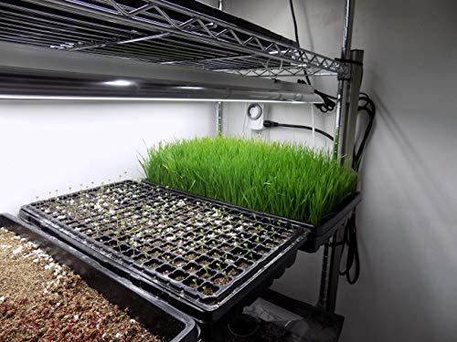 1020 Trays - Extra Strength No Holes, 60 pack, for Propagation Seed Starter, Plant Germination, Seedling Tray, Fodder, Microgreens
