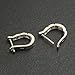 Newtrip Charming Women's Sterling Silver Ear Hoop Earrings Ear Stud