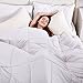 Queen Comforter, Down Duvet Alternative Insert Set with Corner Tabs, All Season Quilted White Hypoallergenic & Reversible, Box Stitched Goose Down Alternative Fill, Brushed Microfiber