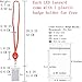 LED Light Up Cruise Lanyard Christmas Necklace Gifts Keychain ID Card Badge Key Holder for Women Men Kids Students Office Worker [7 Pack, Colorful]