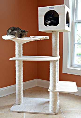 Premium 50" Cat Tree