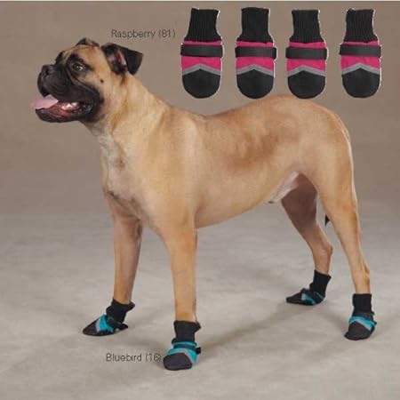 xs dog boots