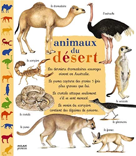 Animaux Du Desert French Edition Christian Haward 9782745914453 Amazon Com Books