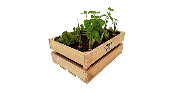 Vergea Caja de Madera Huerto Urbano: Amazon.es: Hogar