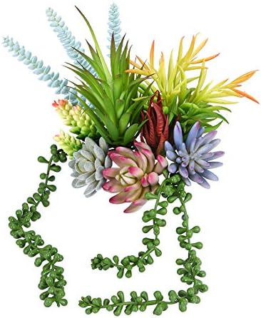 Wugeshop フェイク多肉植物 10個詰め合わせ 鉢植えなし 人工多肉植物 装飾植物 カラフルなフェイク多肉植物 Diyホームデコレーション 素朴なウェディング
