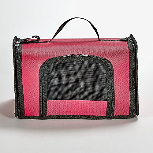 Kaytee Come Along Carrier, Medium, Assorted Colors