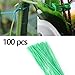 GALAGEE 100 PCS Garden Twist Tie Strips-Green Gardening Vine Climbing Plants Cable Tie Lines Plant Brackets Parts Bonsai Flower Cucumber Grape Rattan Supports (S:10cm)thumb 2
