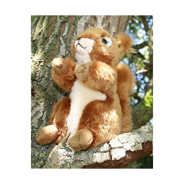 Eichhörnchen Plüschtier Stofftier Plüsch Kuscheltier – Bild 6